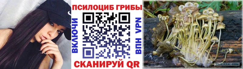 купить MEGA Галлюциногенные грибы мухоморы Монино